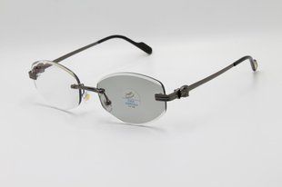Компьютерные очки Хамелеоны X001 C5 фото